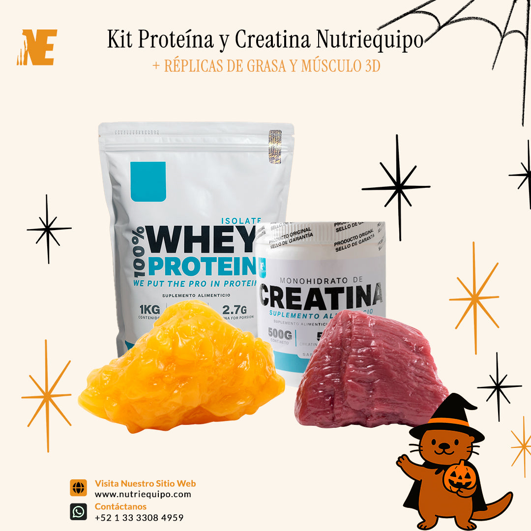 Kit Educativo de Suplementos y Réplicas Anatómicas