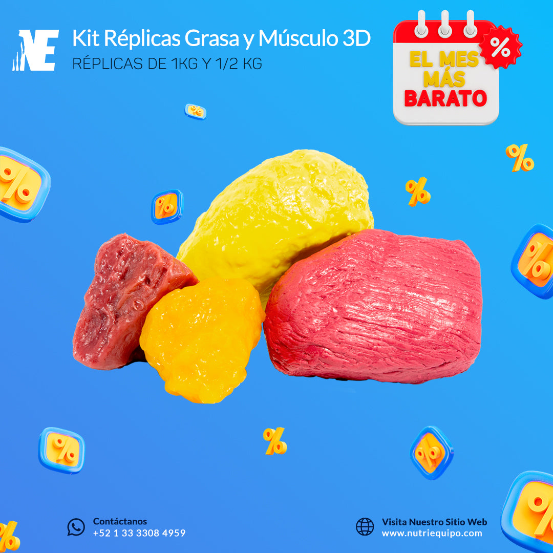Kit Réplicas Grasa y Músculo 3D 1kg y 1/2kg